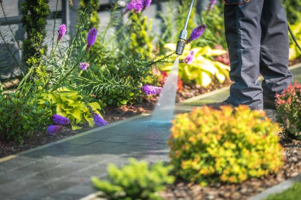 Best Parking Lot and Garage Cleaning  in Whitney Point, NY