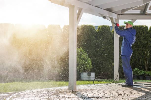 Best House Exterior Washing  in Whitney Point, NY
